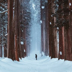 P1qa - это мой мир