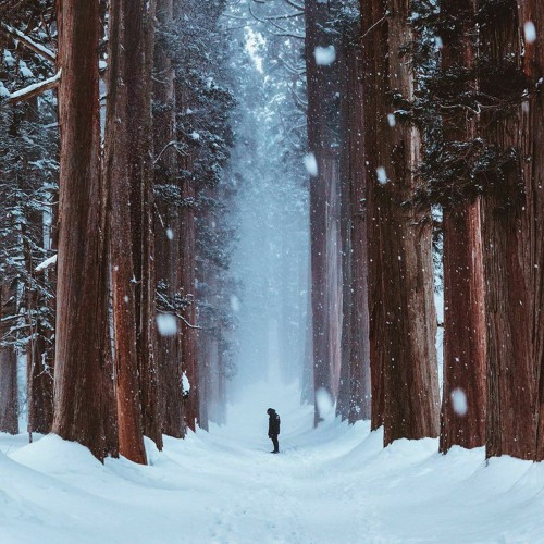 P1qa - это мой мир