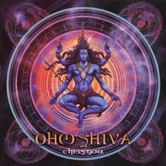 Chris Goa - Ohm Shiva (Original Mix)