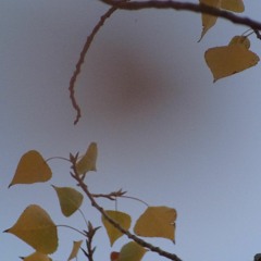 Night Note & Marco Lucchi - Into the void (Naviar Haiku # 358)