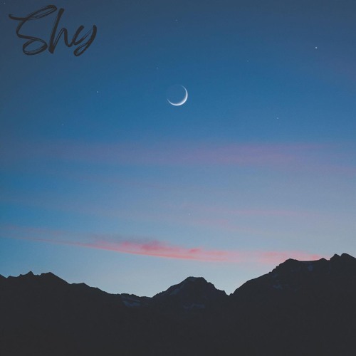 Stream Shy by Nathan Provost | Listen online for free on SoundCloud