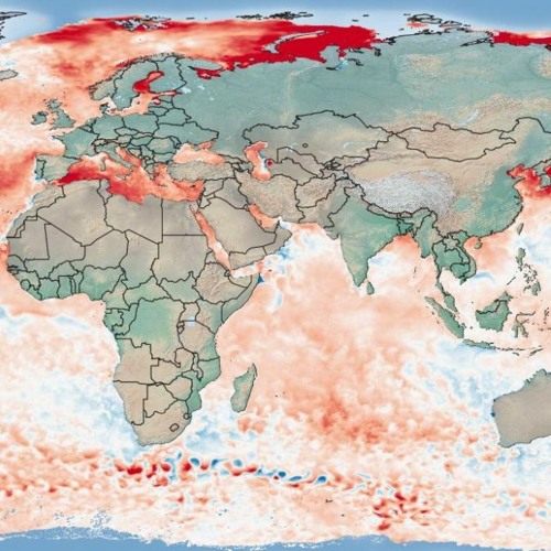 „Extreme werden zur Normalität“ – CEDIM-Studie analysiert die globale Hitzewelle des Sommers 2023