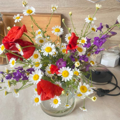 Flowers in the garden