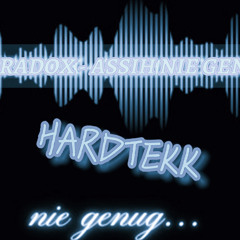 PARADOX - ASSIH NIE GENUG