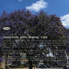 Jacaranda w/ Andrey Lipa — 31/07/2023