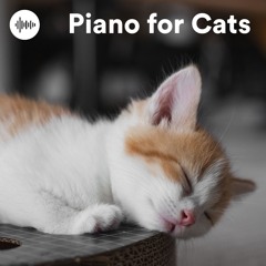 Piano for Cats - Calming Cat Music, Relaxing Music for Cats & Sleep Music for Cats with Anxiety