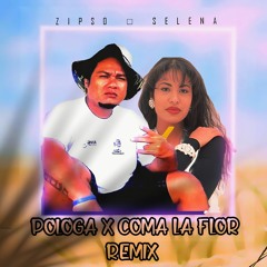 POLOGA🇼🇸🇲🇽COMO LA FLOR REMIX