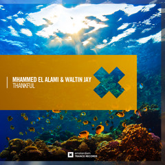 Mhammed El Alami & Waltin Jay - Thankful