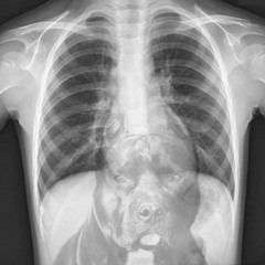 PutYourselfFirst (Reference)