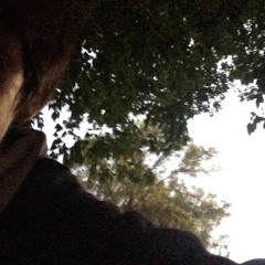 I Don't Even Know At This Point I Just Keep On Being Like This I Think This Is Just So Lame damn it