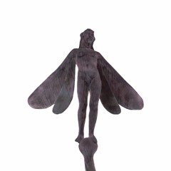 굴러온 돌멩이 뽑혀버린 나무 더이상 키스를 하지 않는 사랑