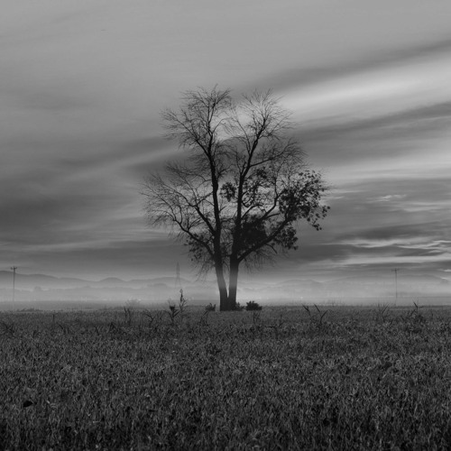 BESS - Valoo (Piano Cover)