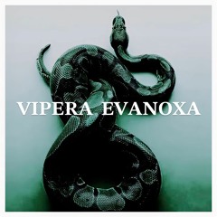 VIPERA EVANOXA