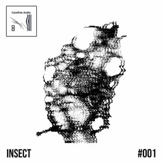 Carefree Audio | INSECT