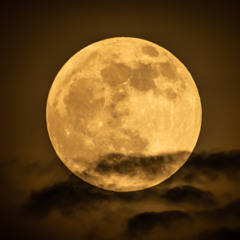 JOSS-Magic moon