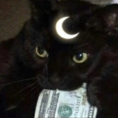 murda musik playboi carti -trunks