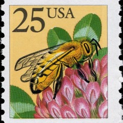 Free Bee (Original Mix) (Free Download & Free to Use)