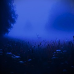 Out of Time (Soundtrack)