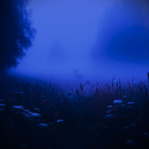 Out of Time (Soundtrack)