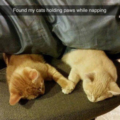 줄리아하트 - 나의목소리 (ukulele cover)