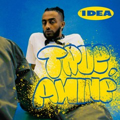 YUNG IDEA - TRUE AMINÉ