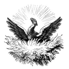 Like a Phoenix