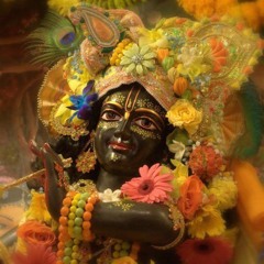 Krishna Coloured Rain (3).wav