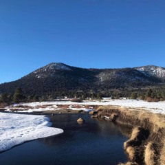 Hate To Say It Like This