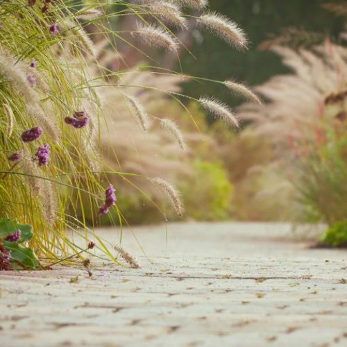 Afcw top background FREE DOWNLOAD