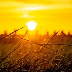 Sunrise - Where It All Began