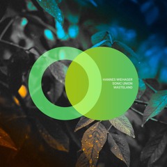 Hannes Wiehager & Sonic Union - Wasteland (Original Mix)