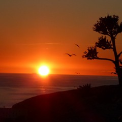 REBIRTH OF NATURE MIX