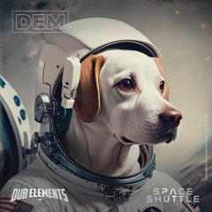 DUB ELEMENTS - SPACE SHUTTLE (DEM042)