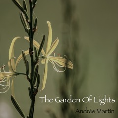 The Garden Of Lights