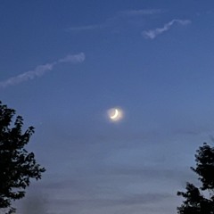 🌙