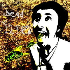 Dead Flies (Prod. Alteg)