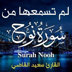 تلاوة جديدة في قمة الابداع ❤️ سورة نوح كاملة بصوت ياخذك لعالم الهدوء والسكينة😴💕 القارئ سعيد القاضي