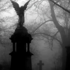 tokyo graves