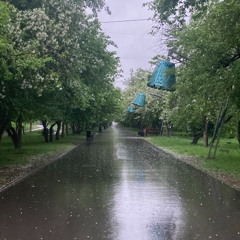 иглы мне в желудок