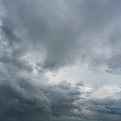 Ruff 2 (i think that its nice that we share the same sky)