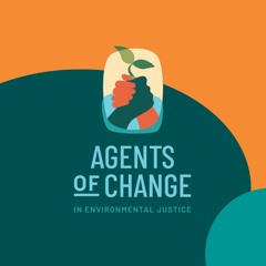 Reflections on the first five years of the Agents of Change program