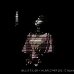 Billie Eilish - WILDFLOWER (H3-X0 remix)