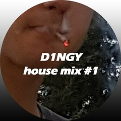 D1NGY - House mix #1