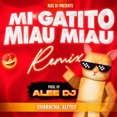Ay Mi Gatito Miau Miau (Remix)