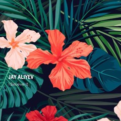 Jay Aliyev - I Believe It