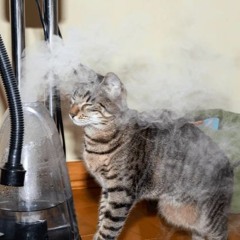 Let me throw away my life if i want to hahahahaahaaghagaajkhaga