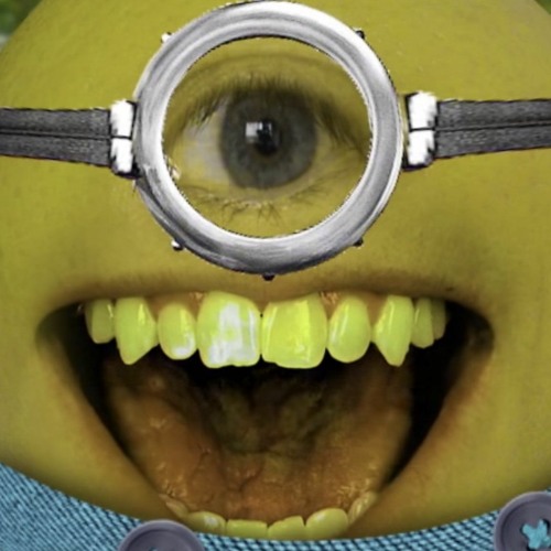 stop