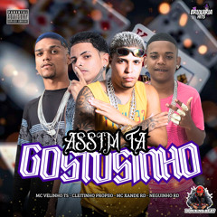 Assim Tá Gostosinho (feat. Cleitinho Propiio)