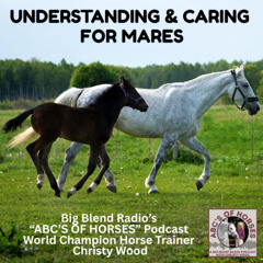 Understanding and Caring for Mares