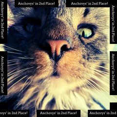 Anchovys’ in 2nd Place! - dirt, sand, rocks, etc…